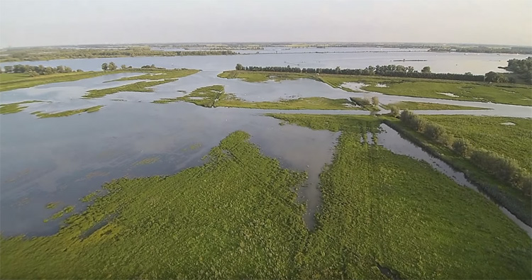 Tongplaat Dordtsche Biesbosch gefilmd met Yuneec Typhoon Q500+