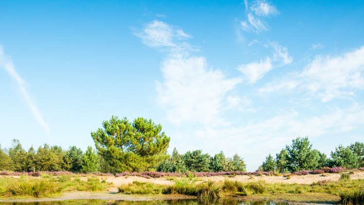 DJI Phantom 3 filmt Loonse en Drunense Duinen in 4K