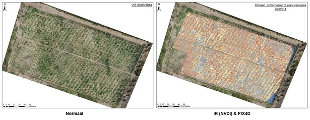 drone-agricultural-nvdi-view