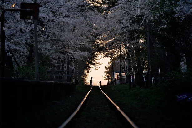 national-geographic-photo-contest-2015-sho-shibata